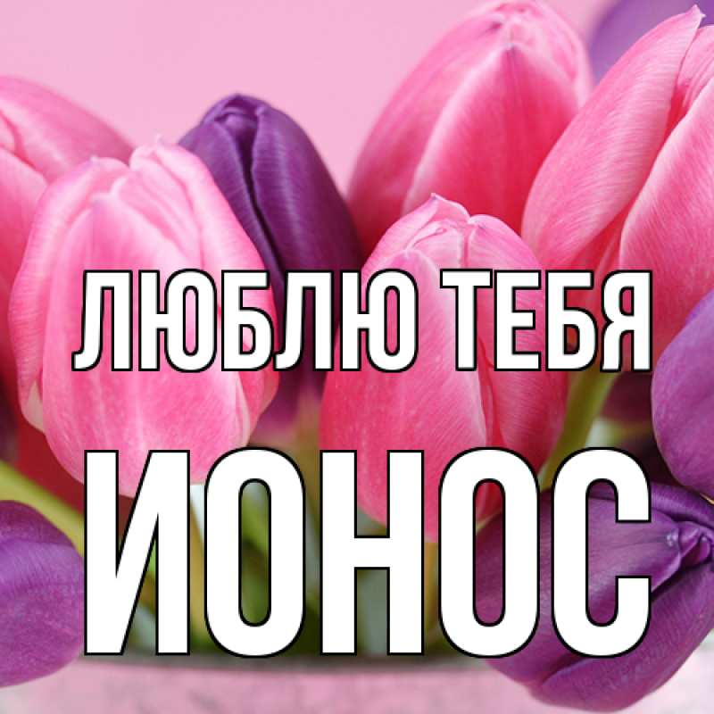 Картинка Люблю тебя, Ионос