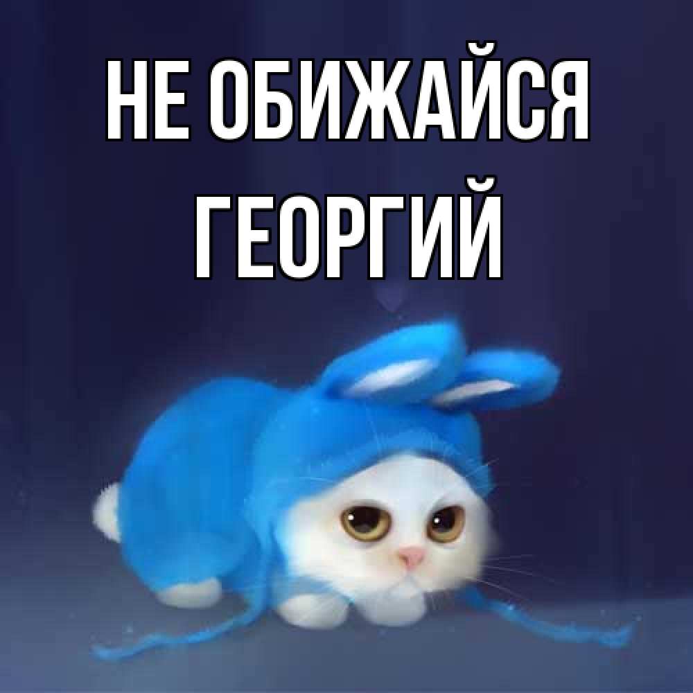 Открытка на каждый день с именем, Георгий Не обижайся невинный котозай просит прощения Прикольная открытка с пожеланием онлайн скачать бесплатно 