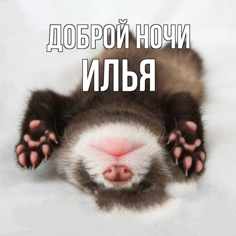 Картинка Доброй ночи, Илья