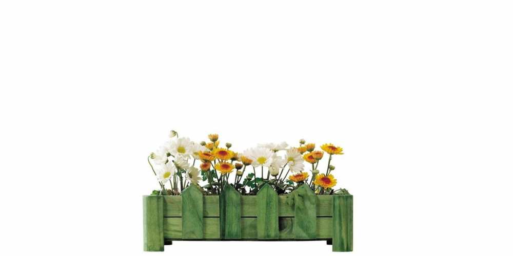 Открытка на каждый день с именем, Аполлинарий С хорошим утром цветы Прикольная открытка с пожеланием онлайн скачать бесплатно 