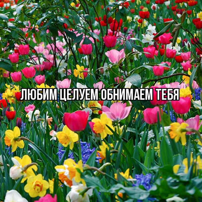 Картинка Люблю тебя, Ненаглядный мой