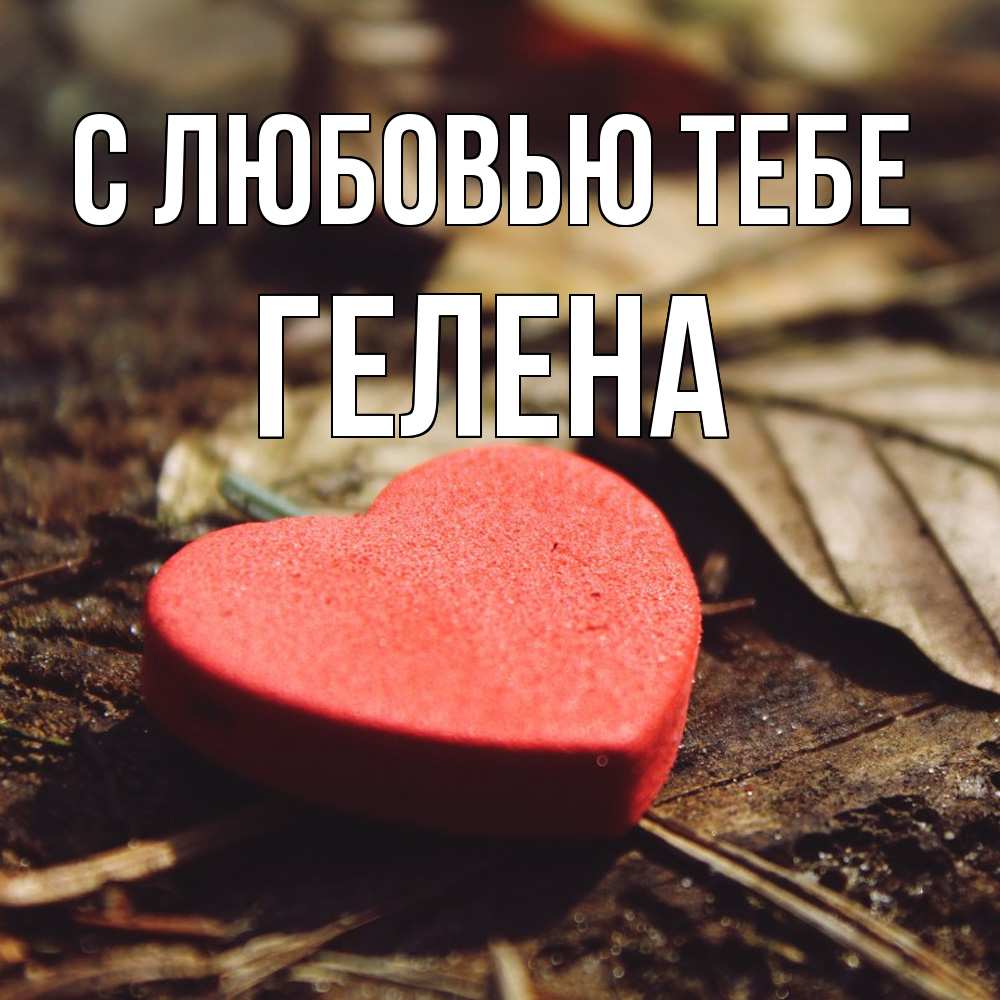 Открытка на каждый день с именем, Гелена С любовью тебе листья деревье 4 Прикольная открытка с пожеланием онлайн скачать бесплатно 