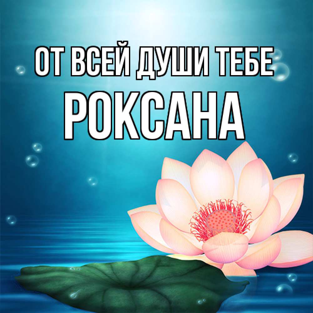 Открытка на каждый день с именем, Роксана От всей души тебе кувшинка Прикольная открытка с пожеланием онлайн скачать бесплатно 