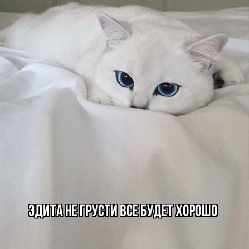 Картинка Не грусти, все будет хорошо, Эдита