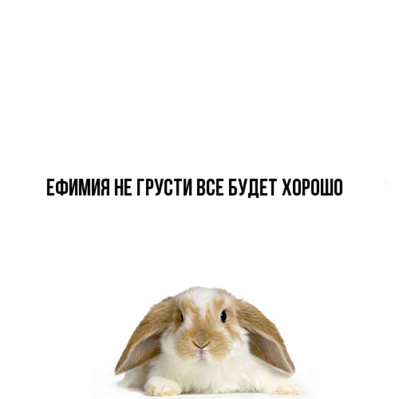 Открытка с именем, Ефимия, Не грусти все будет хорошо