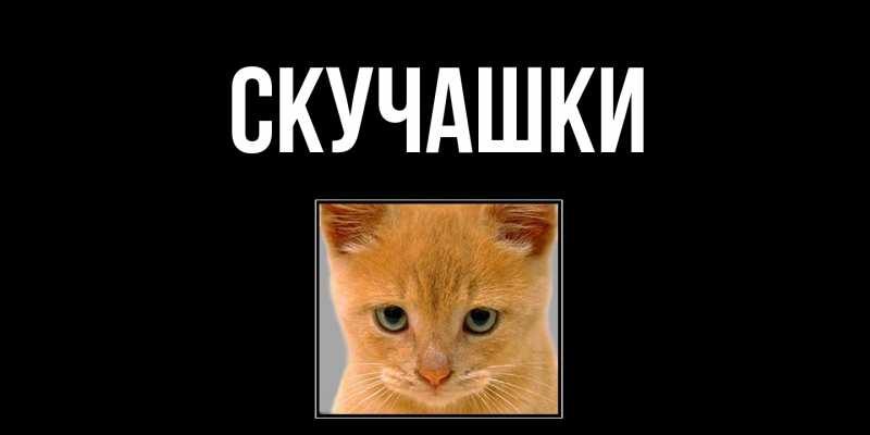 Картинка Скучашки, 