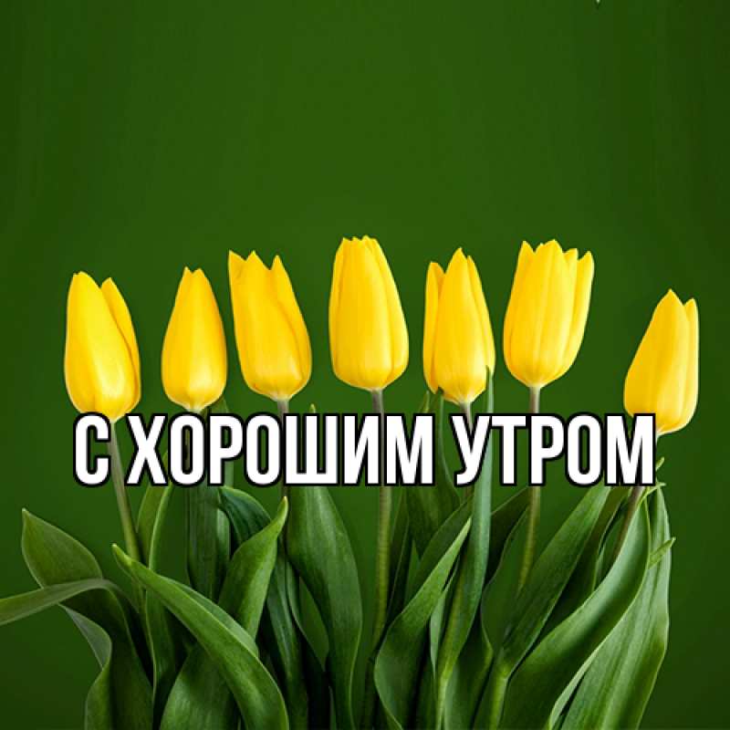 Картинка Люблю тебя, Яким