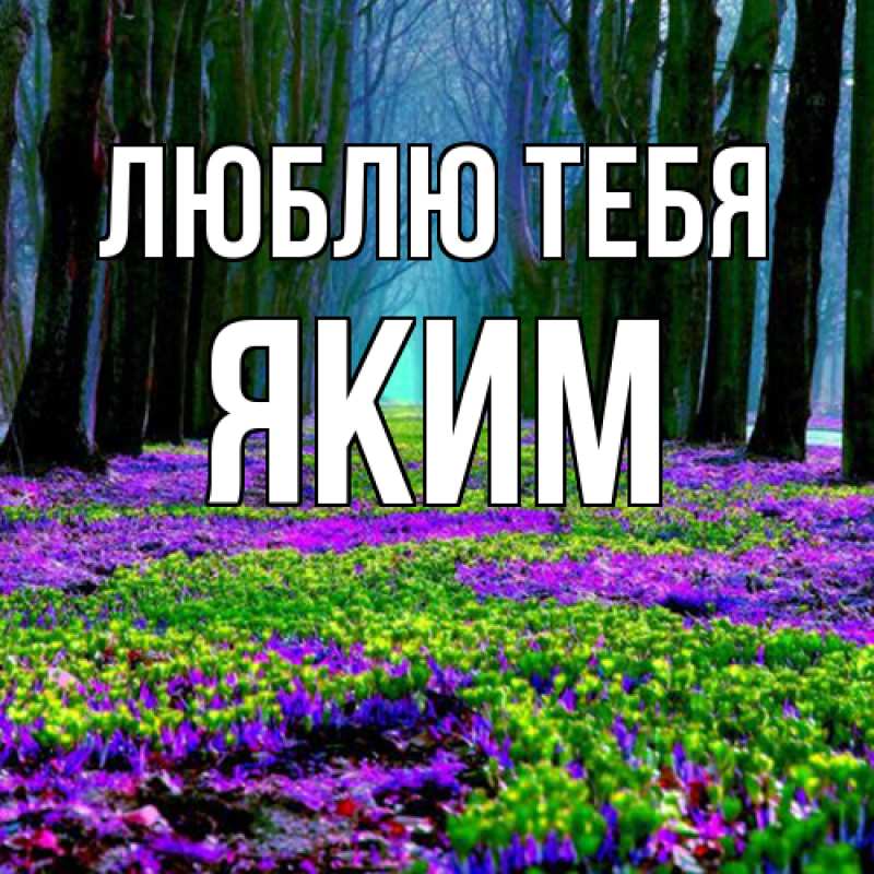 Картинка Люблю тебя, Яким