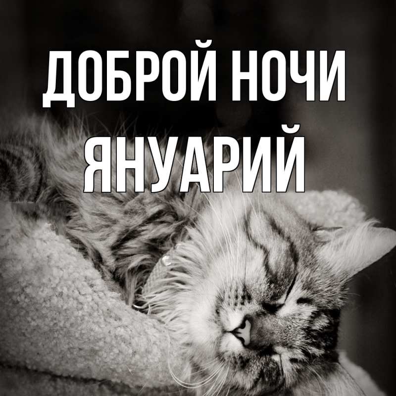 Картинка Доброй ночи, Януарий