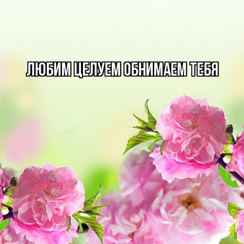 Картинка Люблю тебя, Ненаглядный мой