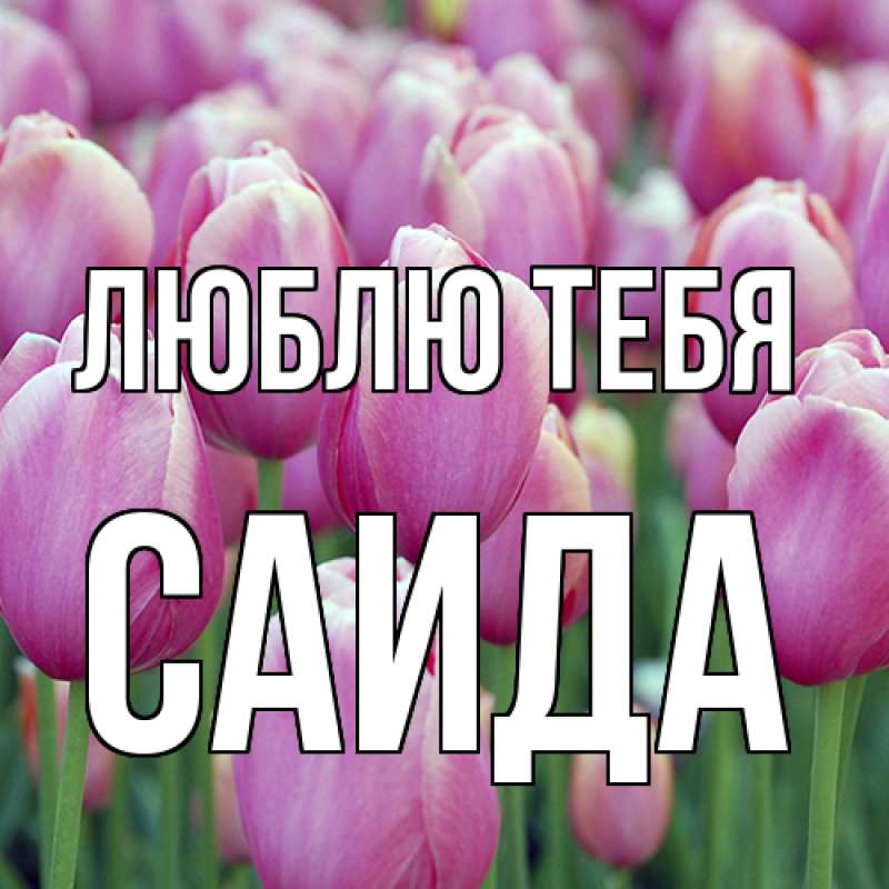 Картинка Люблю тебя, Саида