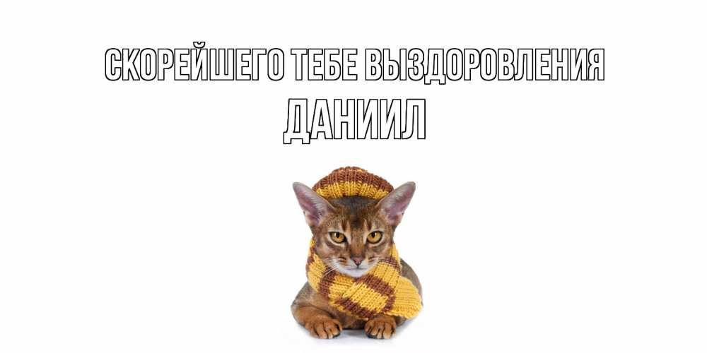 Открытка на каждый день с именем, Даниил Скорейшего тебе выздоровления родные не болейте Прикольная открытка с пожеланием онлайн скачать бесплатно 
