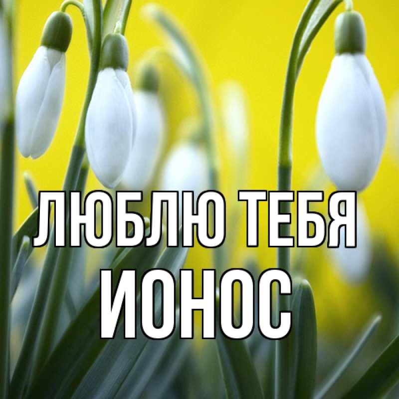 Картинка Люблю тебя, Ионос