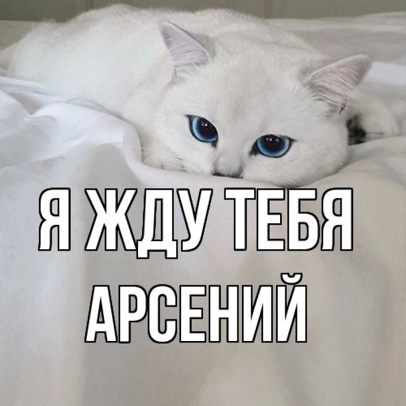 Открытка с именем, Арсений, Я жду тебя