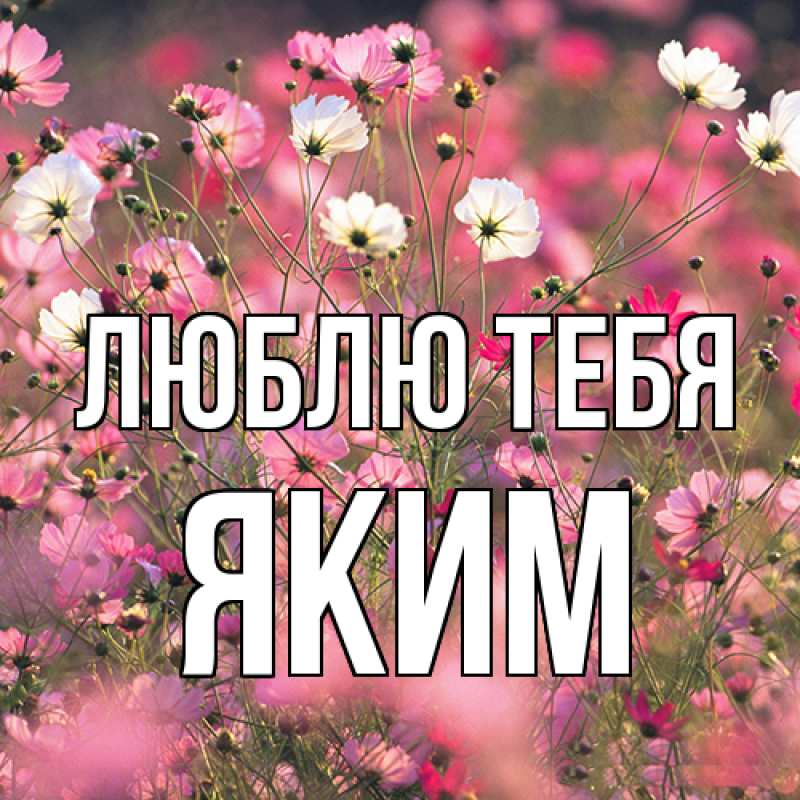 Картинка Люблю тебя, Яким