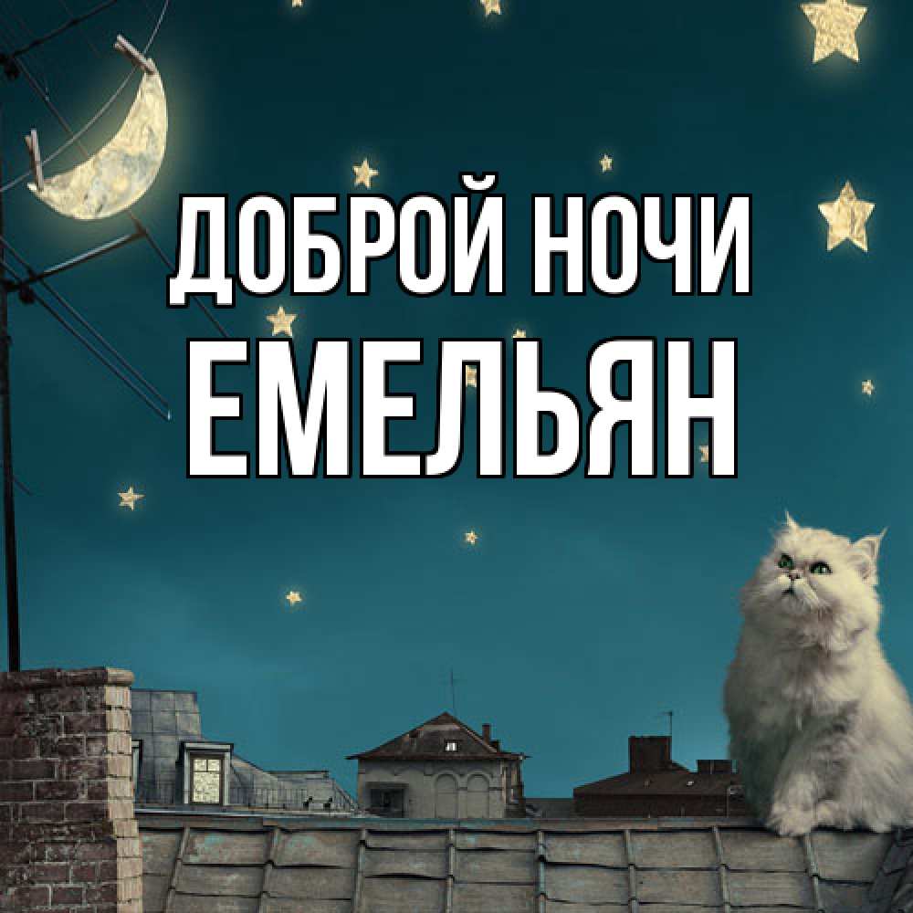 Открытка на каждый день с именем, Емельян Доброй ночи белый кот сидит на крыше Прикольная открытка с пожеланием онлайн скачать бесплатно 