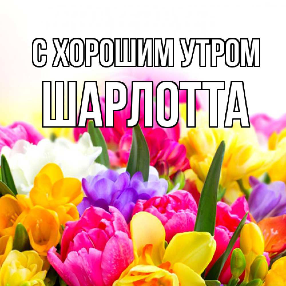 Открытка на каждый день с именем, Шарлотта С хорошим утром создать открытку со свое подписью Прикольная открытка с пожеланием онлайн скачать бесплатно 