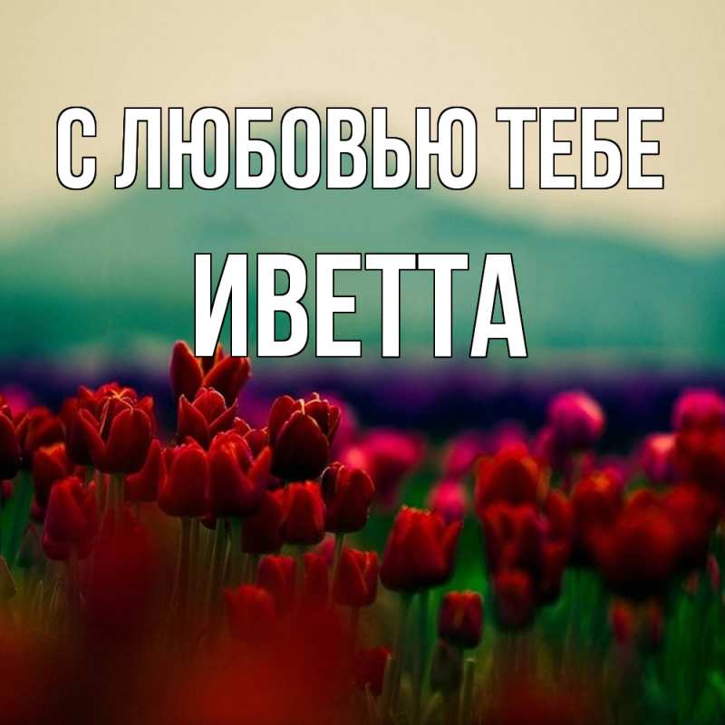 Картинка С любовью тебе, Иветта