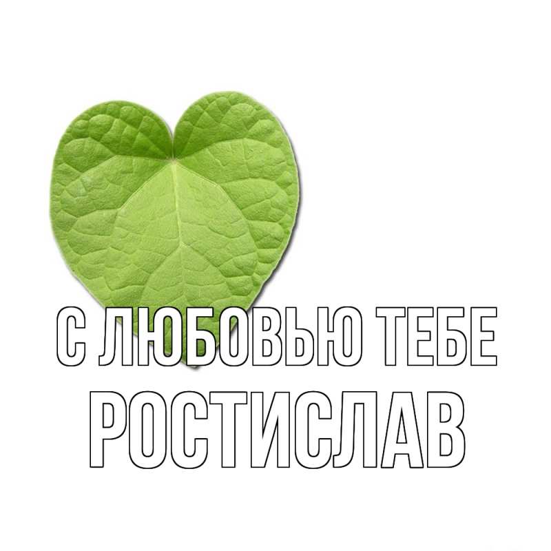 Картинка С любовью тебе, Ростислав