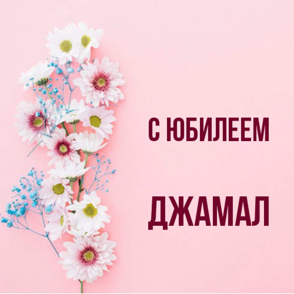 Открытка на каждый день с именем, Джамал C юбилеем Родная моя с днем рождения тебя картинка с цветами белыми и голубыми Прикольная открытка с пожеланием онлайн скачать бесплатно 