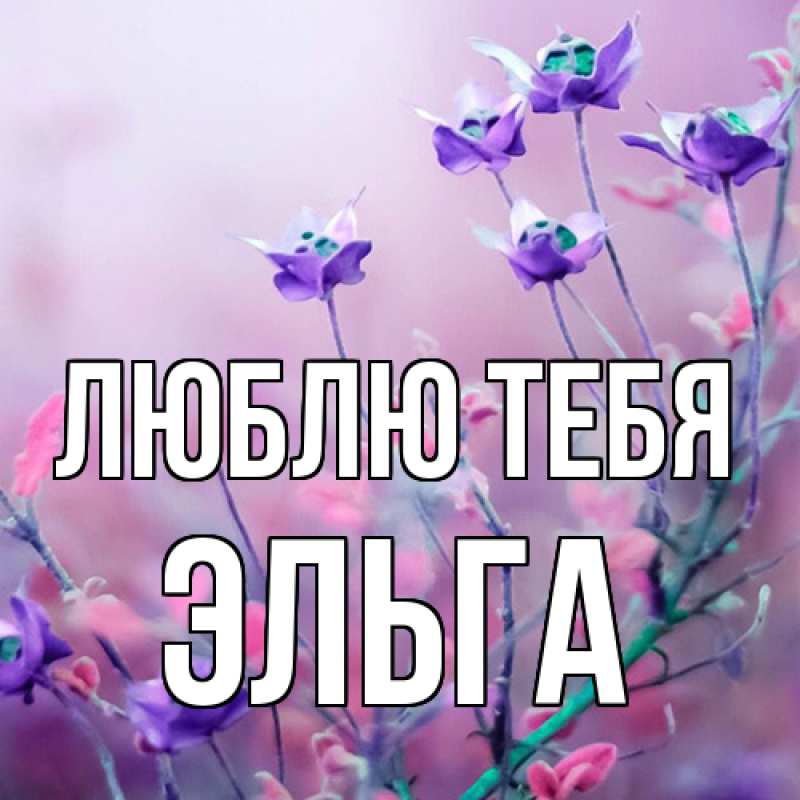 Картинка Люблю тебя, Эльга