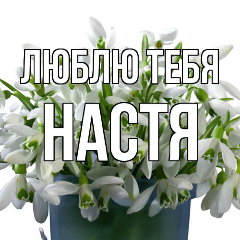 Картинка Люблю тебя, Настя