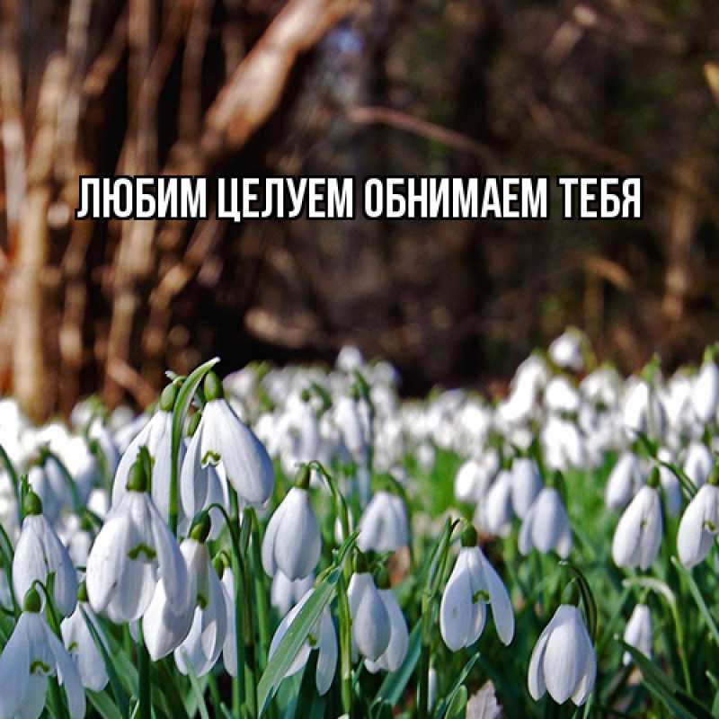 Картинка Люблю тебя, Ненаглядный мой