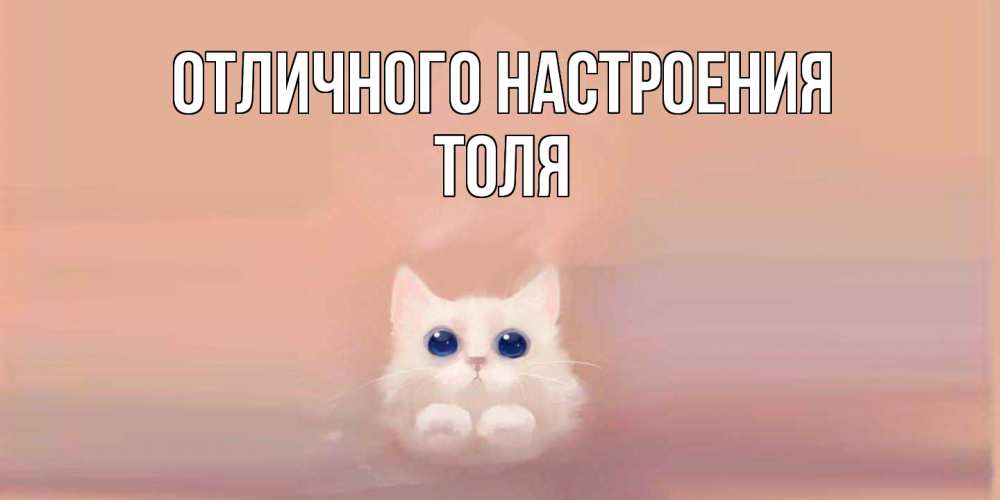Открытка на каждый день с именем, Толя Отличного настроения кошка Прикольная открытка с пожеланием онлайн скачать бесплатно 