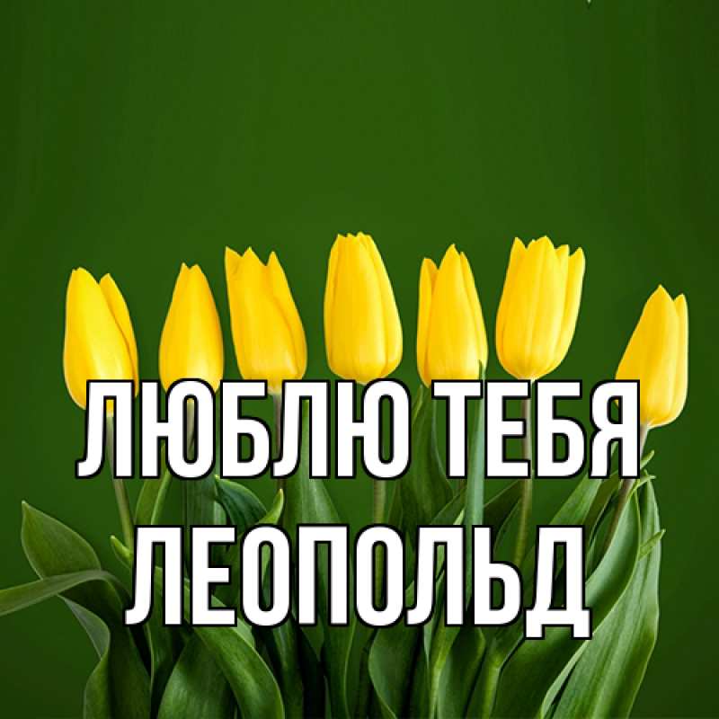 Картинка Люблю тебя, Леопольд