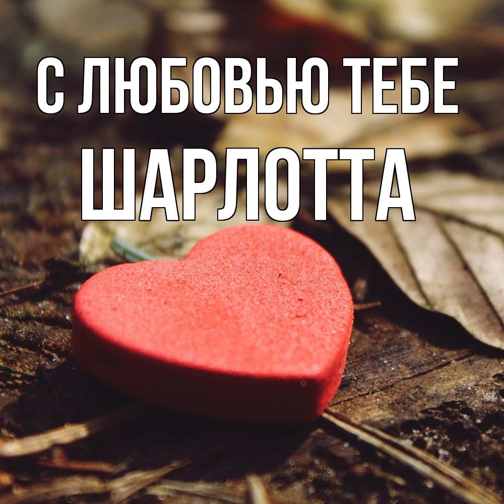 Открытка на каждый день с именем, Шарлотта С любовью тебе листья деревье 4 Прикольная открытка с пожеланием онлайн скачать бесплатно 