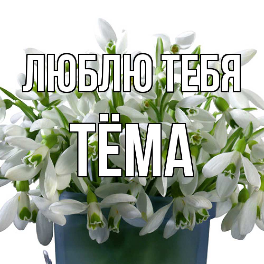 Открытка на каждый день с именем, Тёма Люблю тебя цветы к международному женскому дню Прикольная открытка с пожеланием онлайн скачать бесплатно 