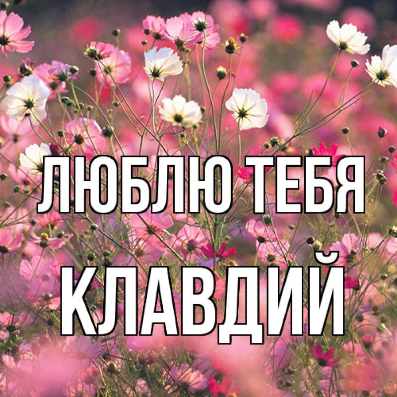 Картинка Люблю тебя, Клавдий