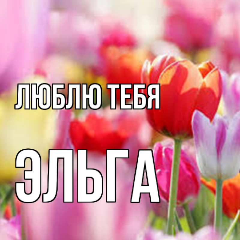 Картинка Люблю тебя, Эльга