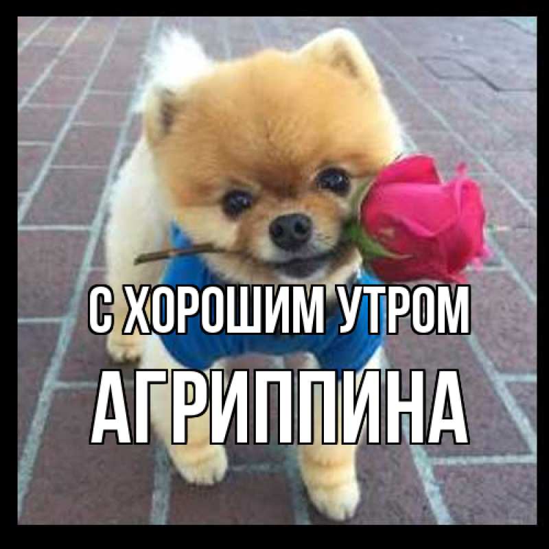 Картинка С хорошим утром, Агриппина