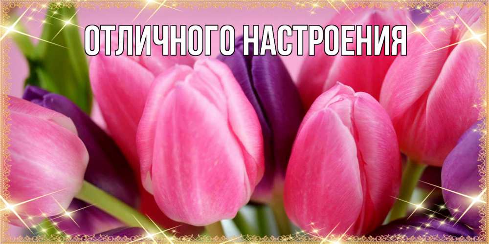 Открытка на каждый день с именем, Радосвета Люблю тебя тюльпаны для женщины на международный женский день Прикольная открытка с пожеланием онлайн скачать бесплатно 