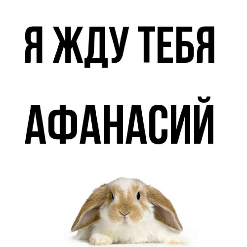 Картинка Я жду тебя, Афанасий