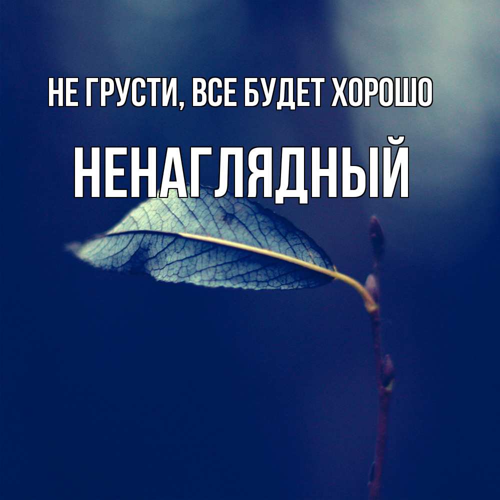 Открытка на каждый день с именем, Ненаглядный Не грусти все будет хорошо растение Прикольная открытка с пожеланием онлайн скачать бесплатно 