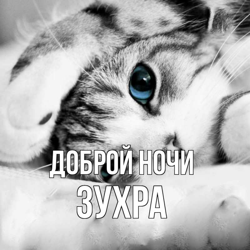 Открытка с именем, Зухра, Доброй ночи