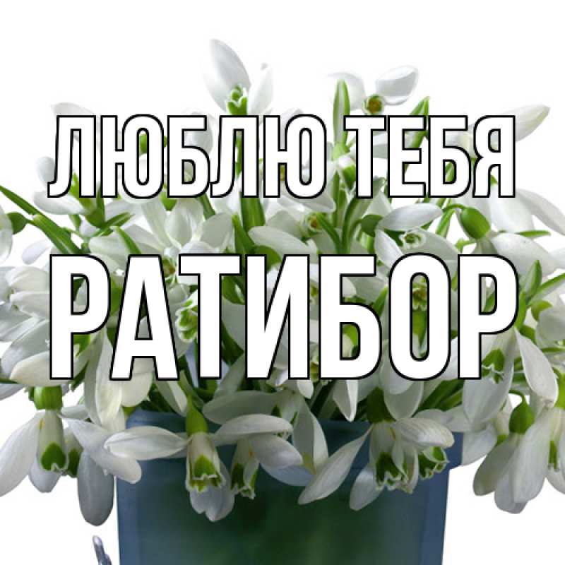 Картинка Люблю тебя, Ратибор