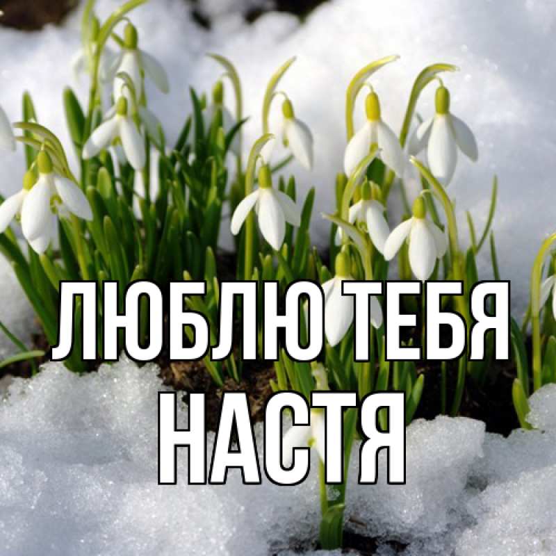 Картинка Люблю тебя, Настя