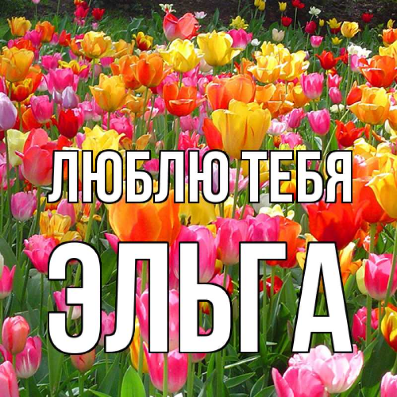 Картинка Люблю тебя, Эльга