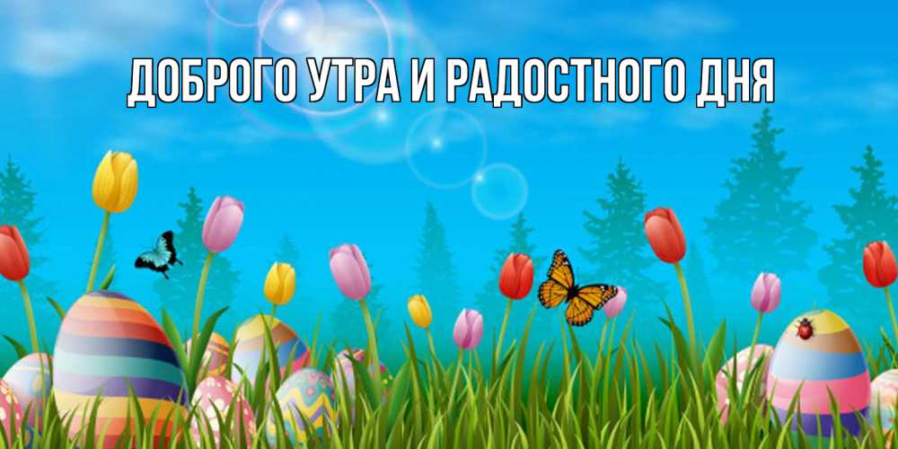 Открытка на каждый день с именем, Прокофий Отличного настроения небо и тюльпаны с бабочкой Прикольная открытка с пожеланием онлайн скачать бесплатно 