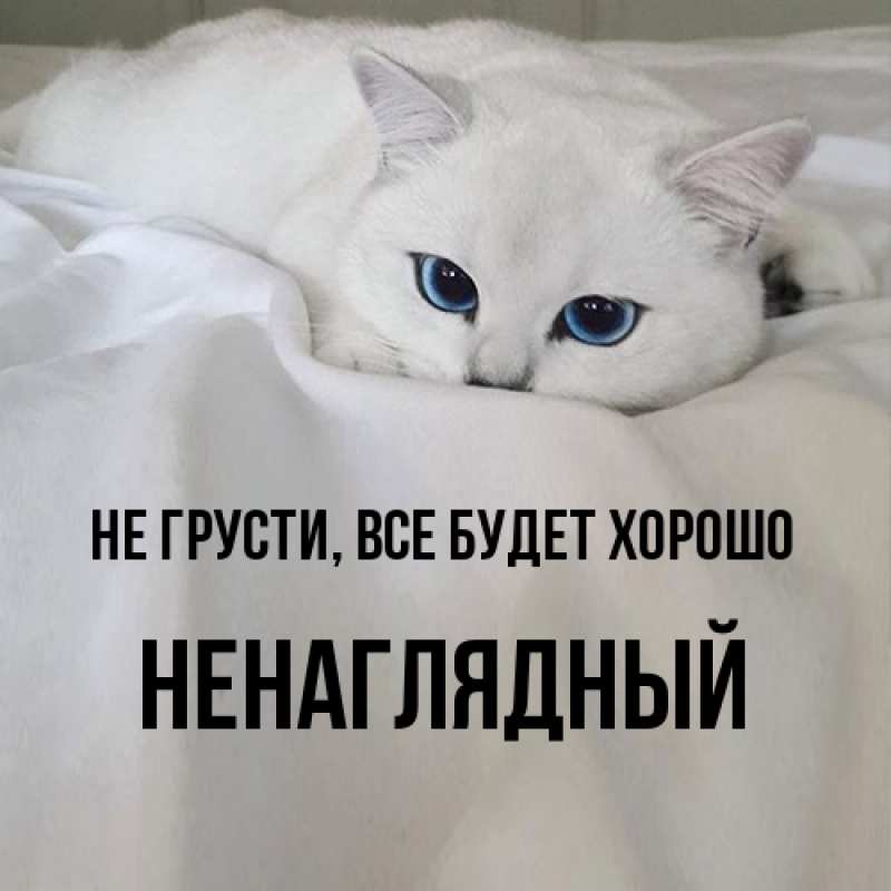 Картинка Не грусти, все будет хорошо, Ненаглядный