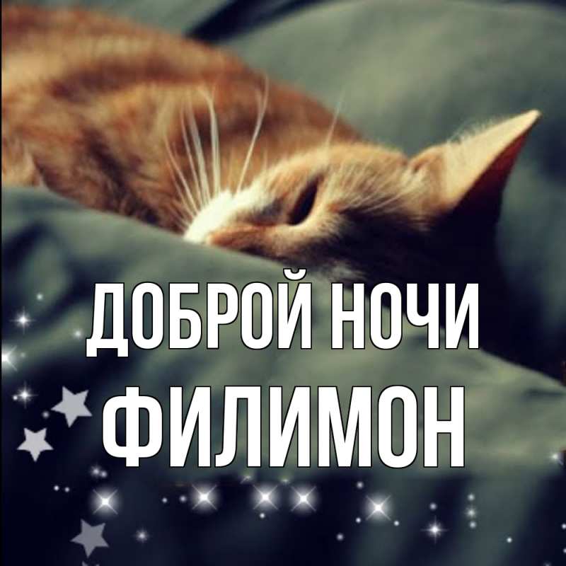 Картинка Доброй ночи, Филимон