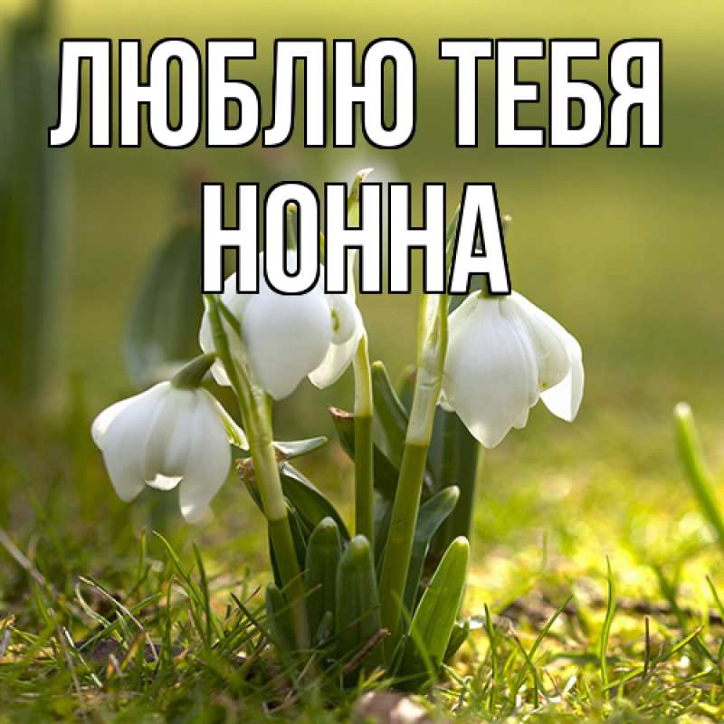 Картинка Люблю тебя, Нонна