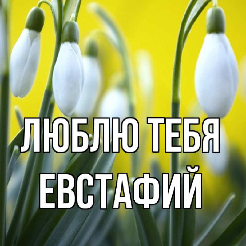 Открытка с именем, Евстафий, Люблю тебя