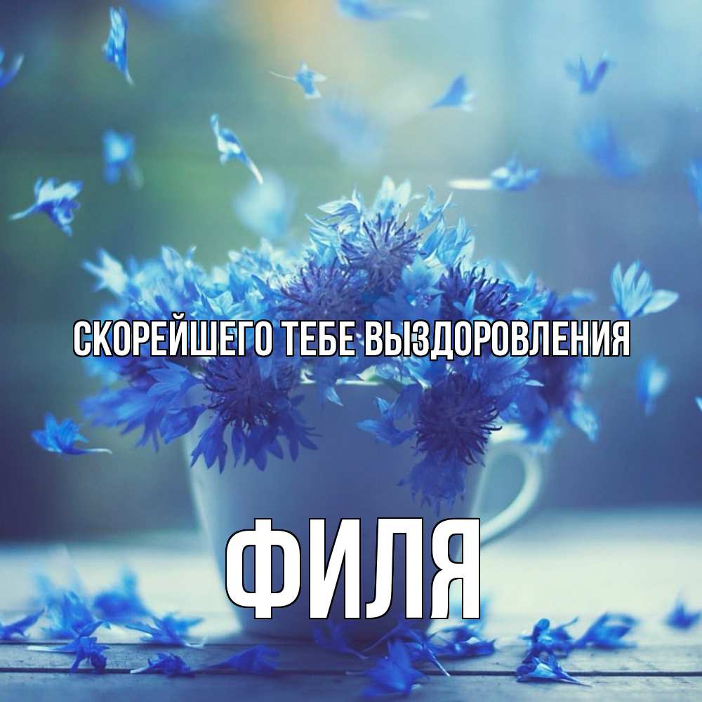 Открытка на каждый день с именем, Филя Скорейшего тебе выздоровления кружка с зельем и цветами Прикольная открытка с пожеланием онлайн скачать бесплатно 