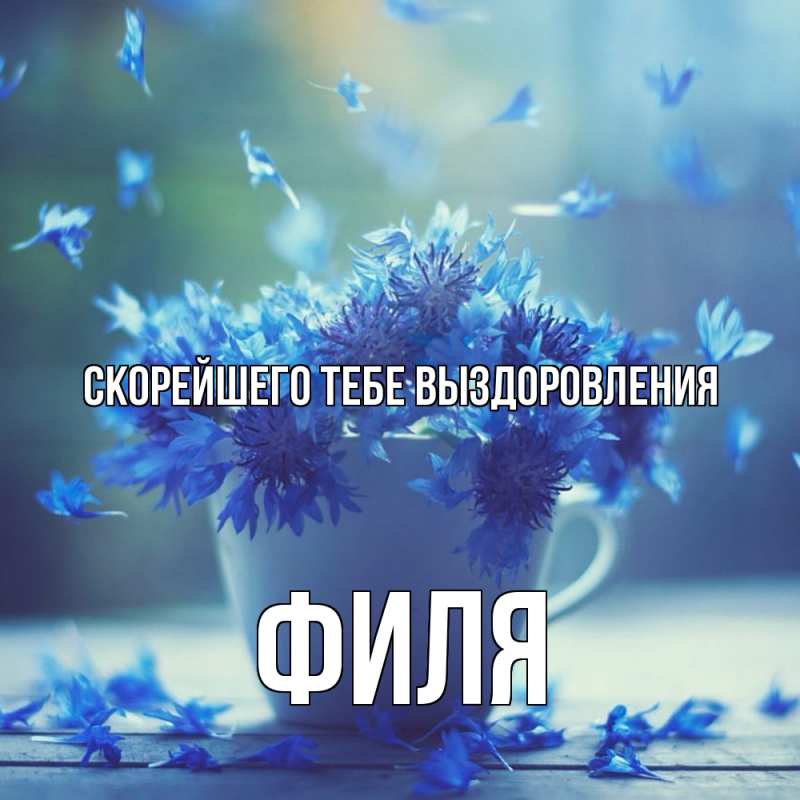 Картинка Скорейшего тебе выздоровления, Филя