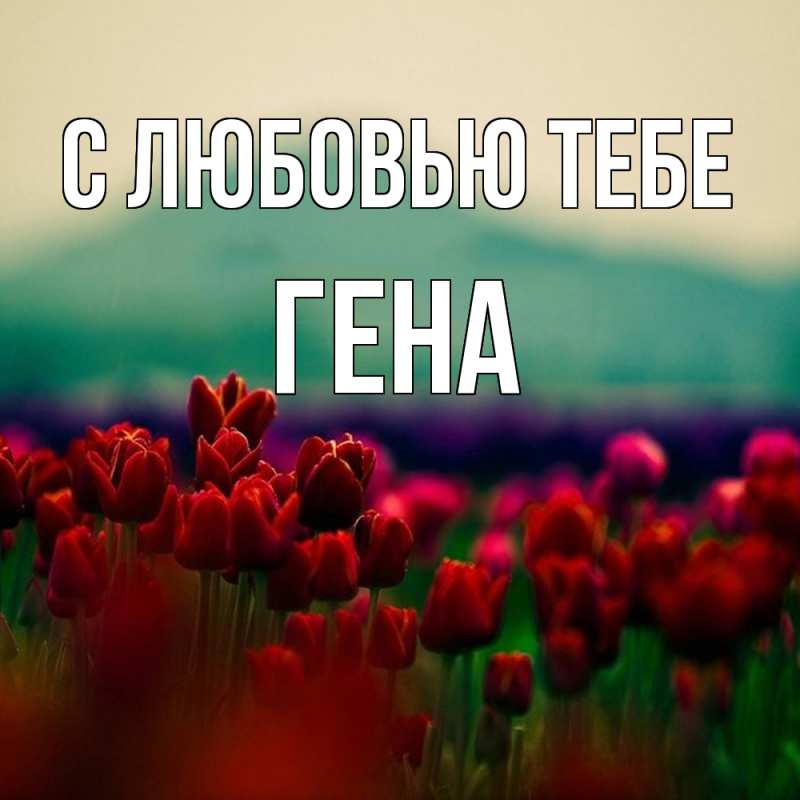 Картинка С любовью тебе, Гена