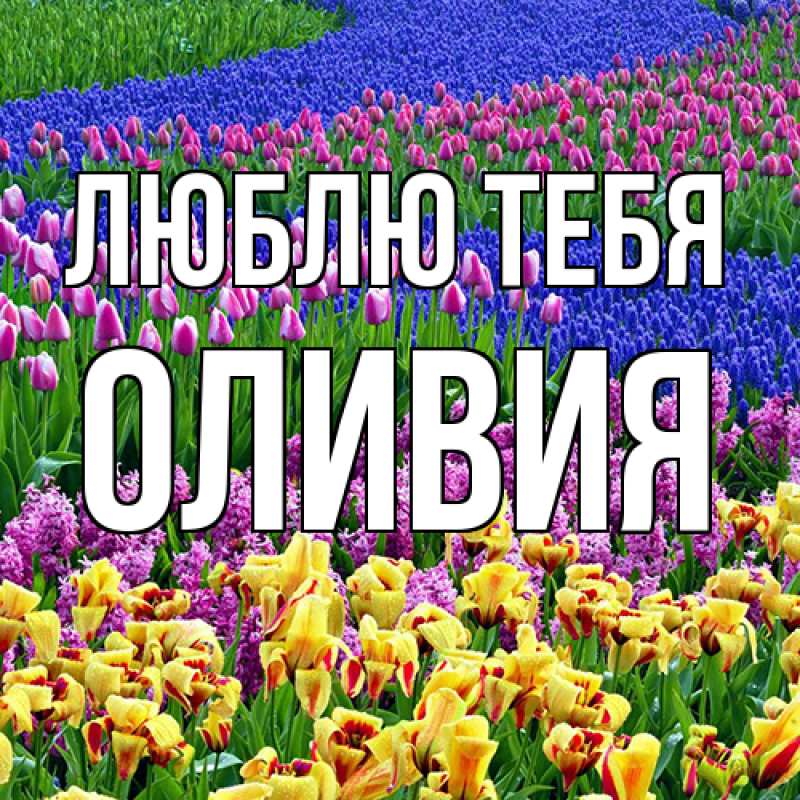 Открытка с именем, Оливия, Люблю тебя